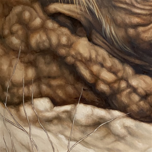 Fielf of Dreams Detail 4 (600 x 600)